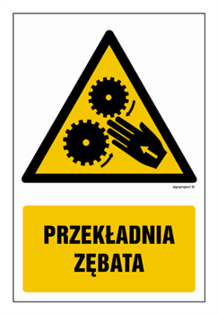 GF069 Przekładnia zębata