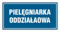 PA542 Pielęgniarka oddziałowa