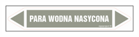 JF313 PARA WODNA NASYCONA - arkusz 2 naklejek