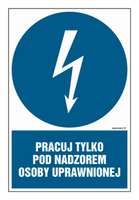 HE010 Pracuj tylko pod nadzorem osoby uprawnionej - arkusz 9 naklejek