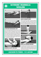 DD004 Manual for rescuing and resuscitating drowned people