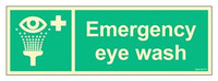 FB101 Emergency eye wash