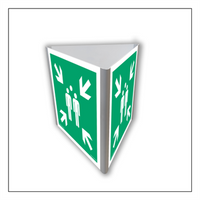 AE807 Evacuation assembly point (3D wall)