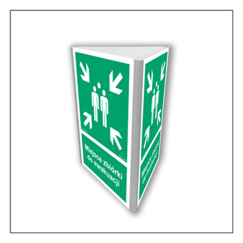 AF807 Evacuation assembly point (3D wall)