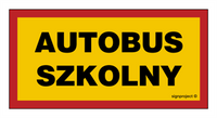 SA049 School bus