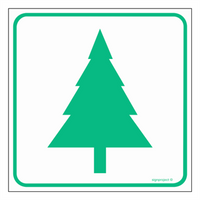 OD013 Cluster of coniferous trees