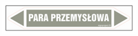 JF311 INDUSTRIAL STEAM - sheet of 5 stickers