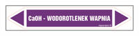 JF111 CaOH - CALCIUM HYDROXIDE - sheet of 5 stickers