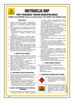 IAE21 Safety instructions for the transport of dangerous goods (cargo - fuel for diesel engines