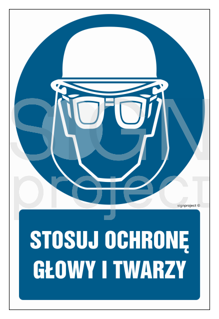 GL019 Stosuj ochronę głowy i twarzy