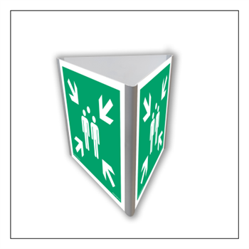 AE807 Evacuation assembly point (3D wall)