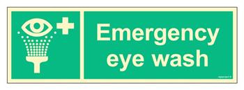FB101 Emergency eye wash