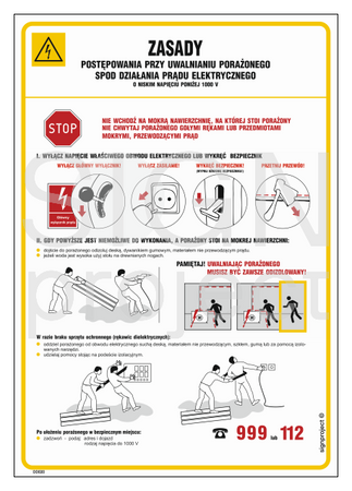 DD020 Rules of conduct when releasing an electric shock victim from the action of electric current. with low voltage below 10