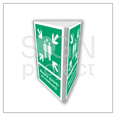 AF807 Evacuation assembly point (3D wall)