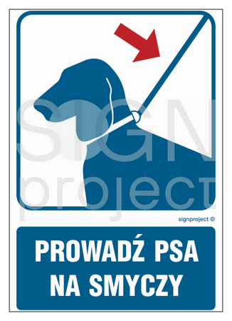 RB035 Prowadź psa na smyczy