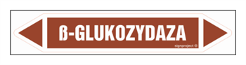 JF523 ß-GLUKOZYDAZA - arkusz 5 naklejek