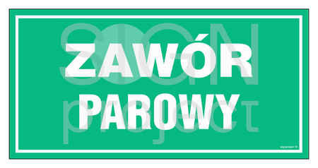 JD029 Zawór parowy