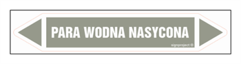 JF313 PARA WODNA NASYCONA - arkusz 5 naklejek