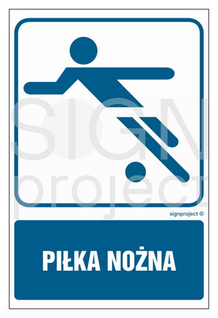 RD010 Piłka nożna