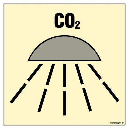 FE107 Space protected by CO2 fire