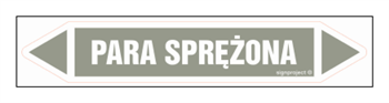 JF312 PARA SPRĘŻONA - arkusz 5 naklejek