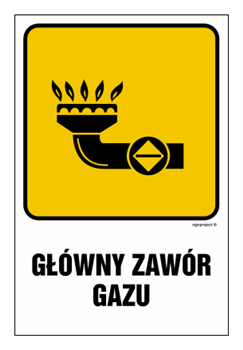 JD001 Główny zawór gazu 1