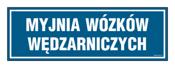 PA285 Myjnia wózków wędzarniczych