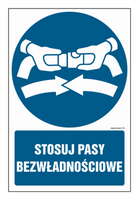 GL041 Stosuj pasy bezwładnościowe - arkusz 9 naklejek