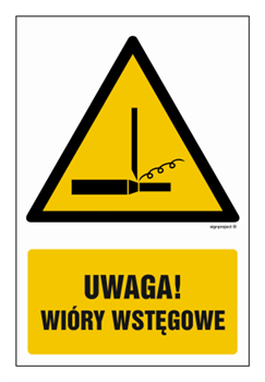 GF067 Uwaga! Wióry wstęgowe